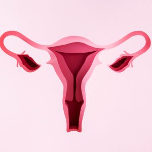 still-life-fertility-concept-top-view